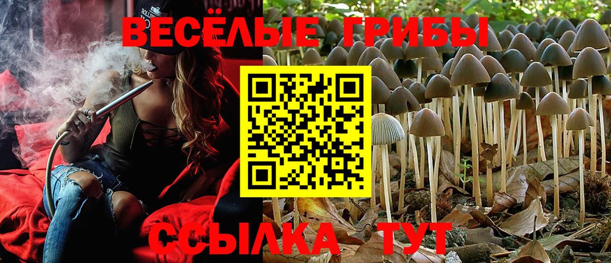 Псилоцибиновые грибы ЛСД Камышлов